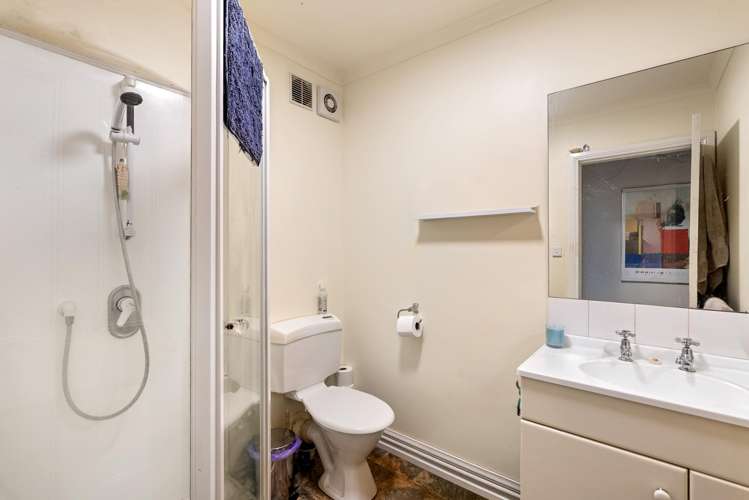 27 Ohiro Road Aro Valley_12