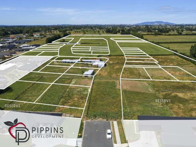 Lot 22 Pippins Development Matamata_2