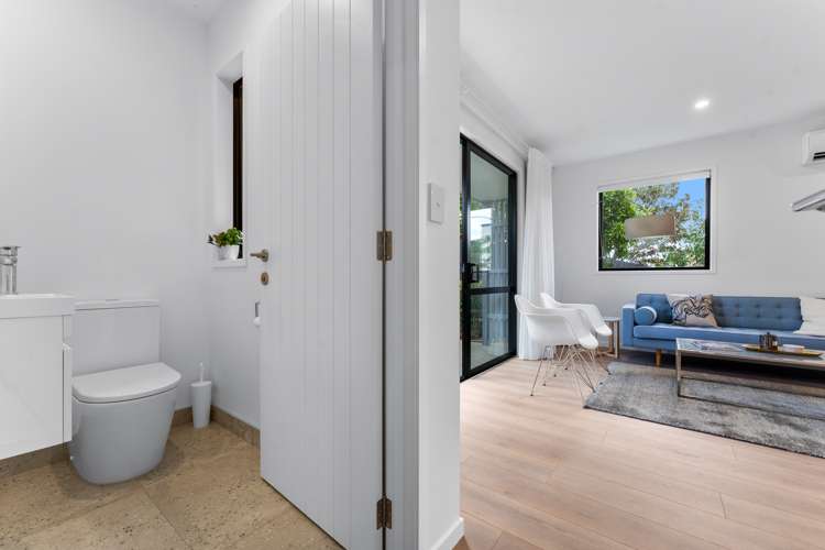 1 Ara Reti Mangere Bridge_5