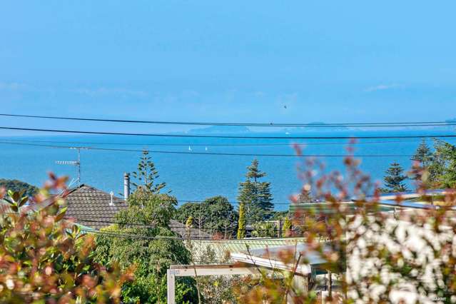 51 Hastings Road Mairangi Bay_1