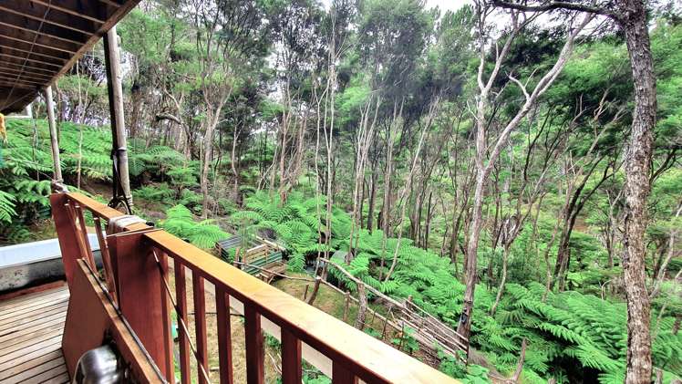 48 Schoolhouse Bay Road Kawau Island_12