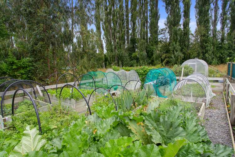 52 Inglis Road Okuku_22