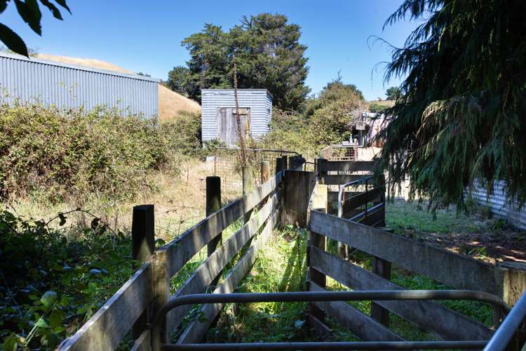 75920 State Highway 2 Norsewood_19