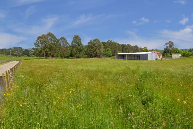Taringamotu Road Taumarunui_14