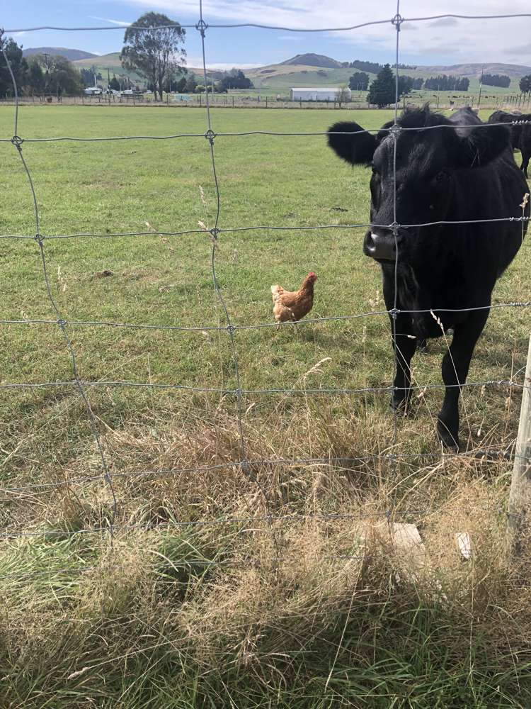 5 Lanark Street Lumsden_24