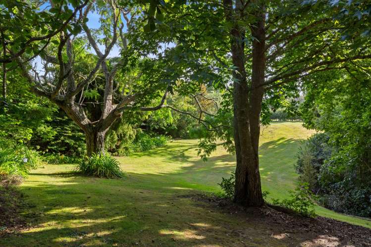 180 McNicol Road Clevedon_20