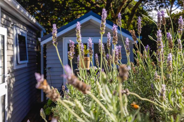 45 Tahatai Road Oneroa_7