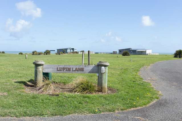 Waipipi Beach Road Waverley_4