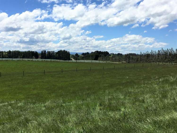 308 Waiwera Station Road Clinton and Surrounds_8