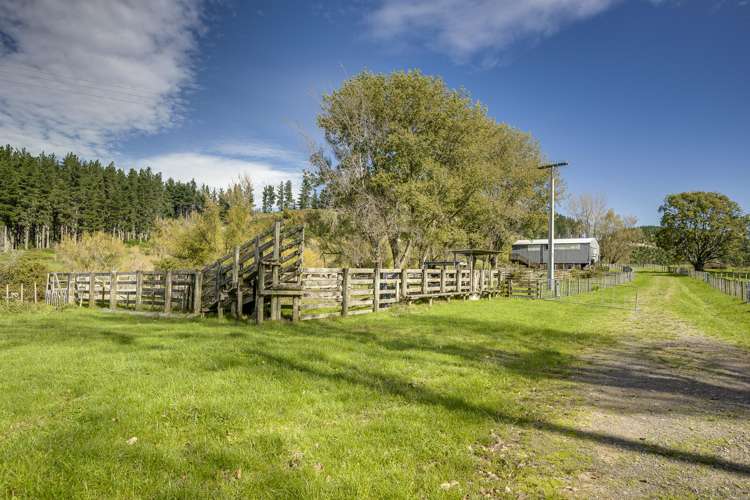 888 Kakariki Farm Road Kotemaori_29