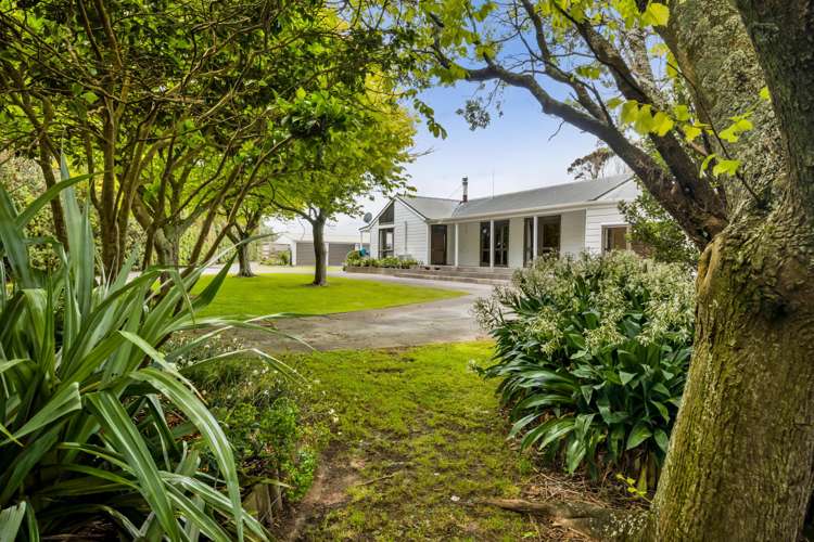 369 Patiki Road Pihama_23