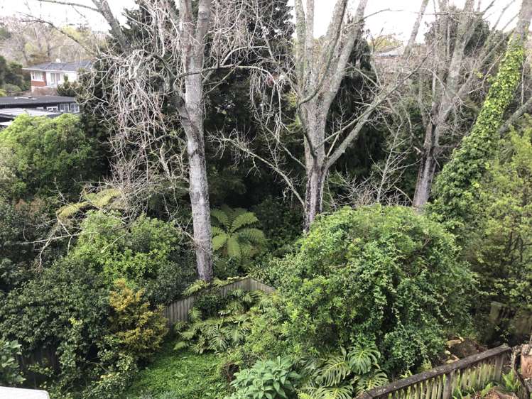 15 Tanglewood Place Cockle Bay_15