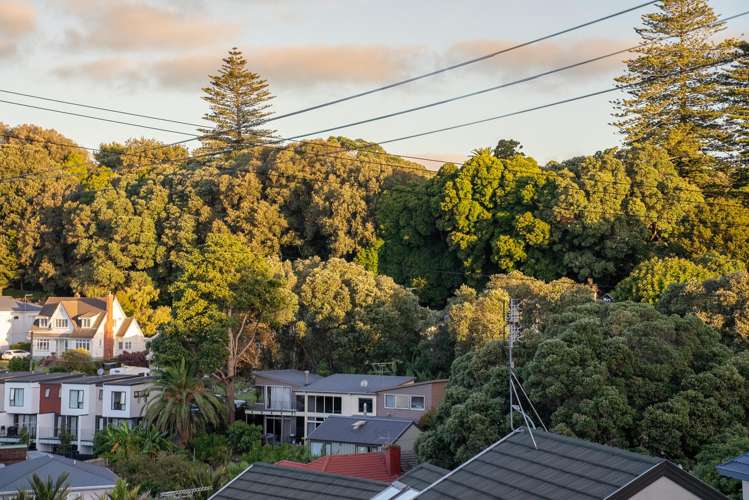 7/23b Hillsborough Road Hillsborough_11