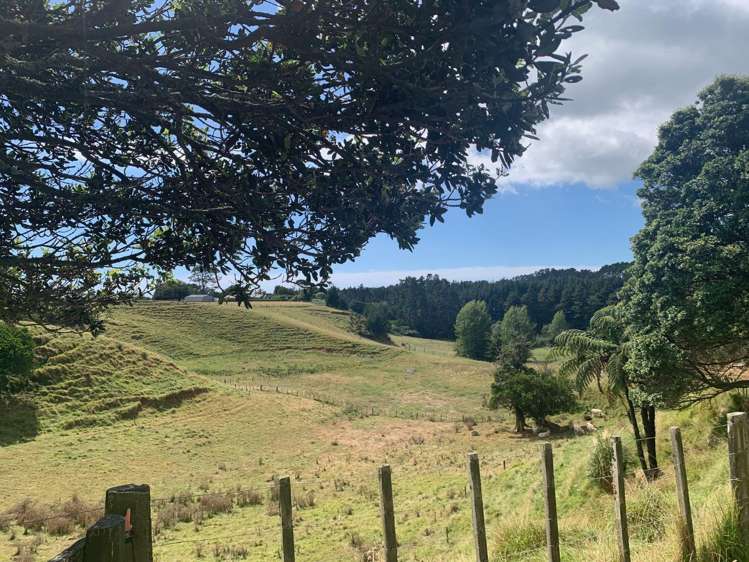 205 Smart Road Hillsborough_2