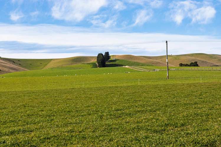 203 Robinson Road Cave_15