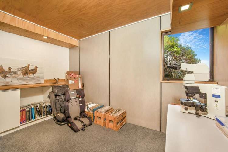 1 Everton Road Andersons Bay_24