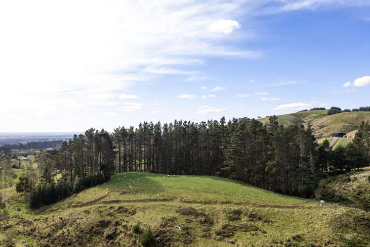 58 Greens Road Linton_8