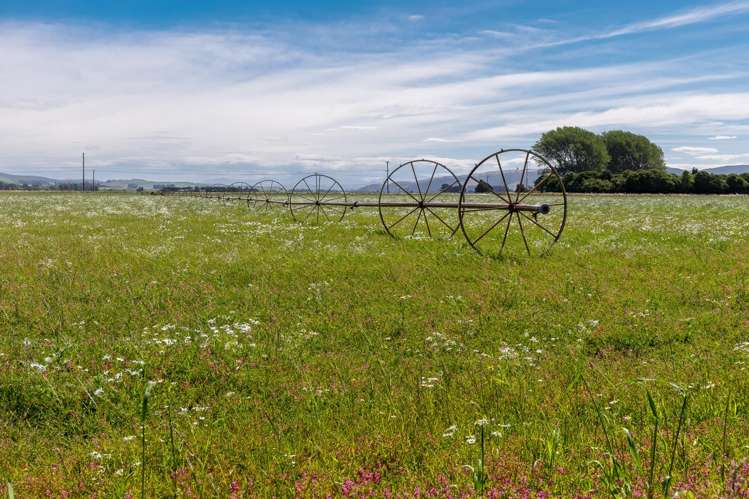 Bradshaws Road Waimate_6
