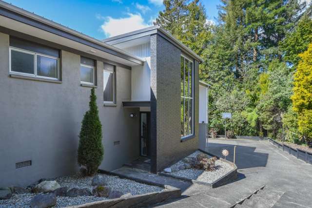 24A Utuhina Road Springfield_1