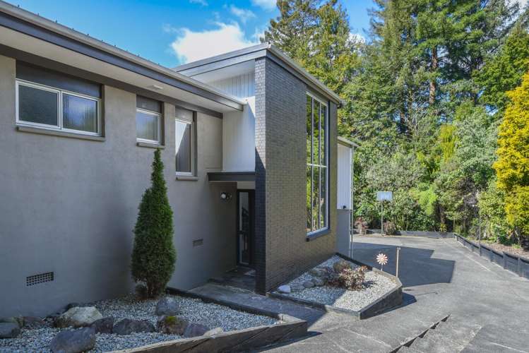 24A Utuhina Road Springfield_1