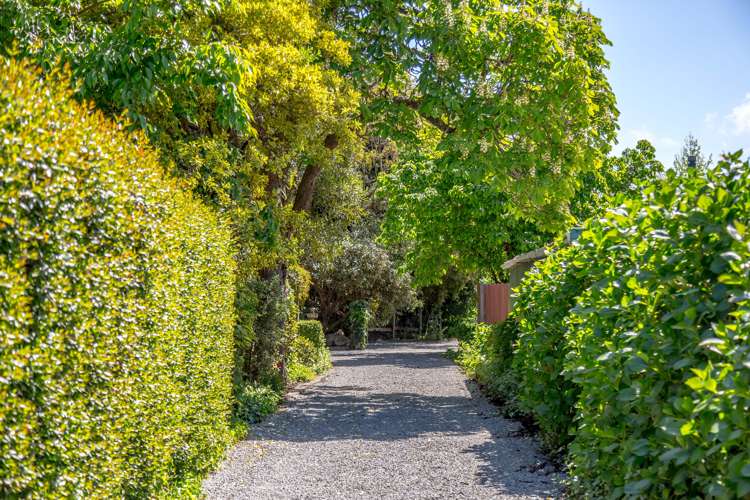 120b West Street Greytown_21