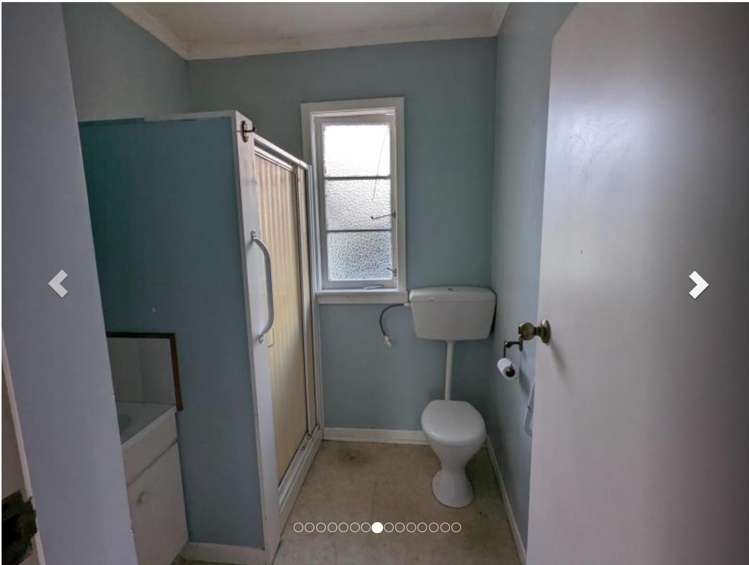  37 Mako Mako Road Levin_10