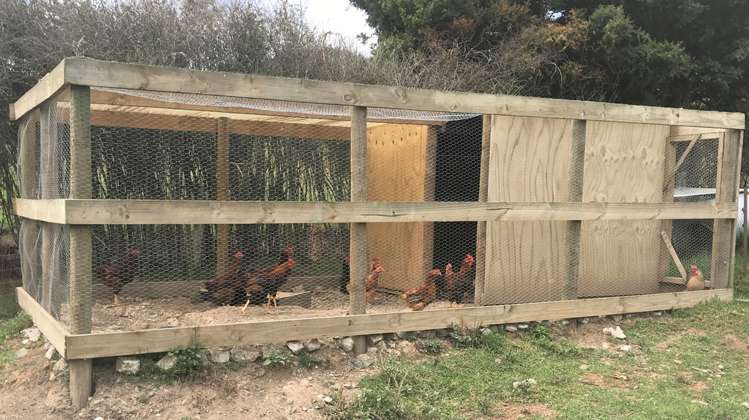 230b State Highway 10 Pakaraka_22