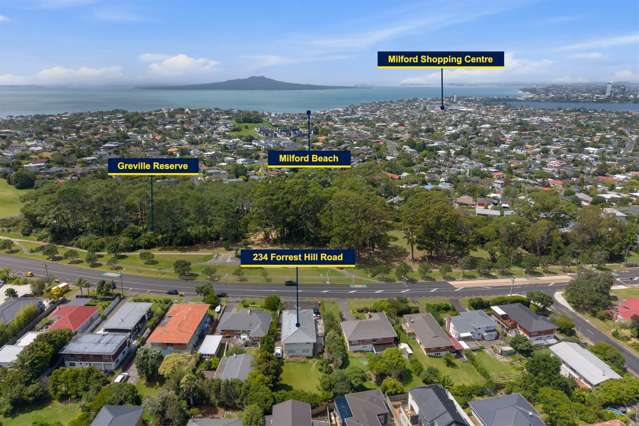 234 Forrest Hill Road Forrest Hill_2