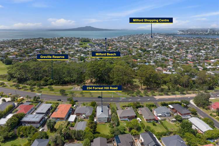 234 Forrest Hill Road Forrest Hill_2