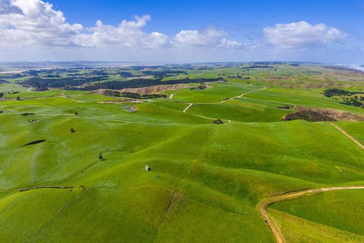 780 Te Maire Road Te Kopuru_23