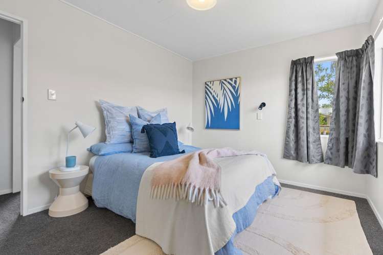 34 Waterhouse Street Masterton_5