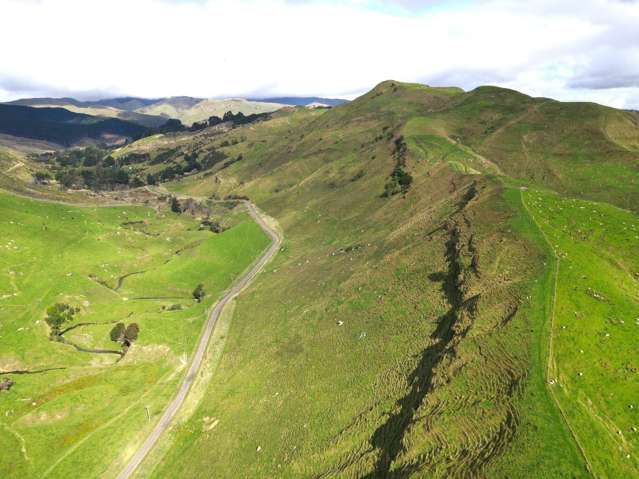 40 Totara Road Awapuni_2