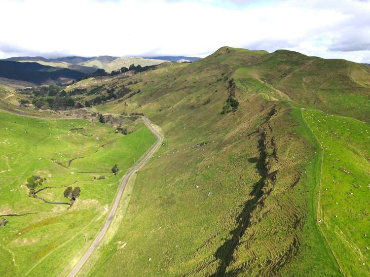 40 Totara Road Awapuni_2