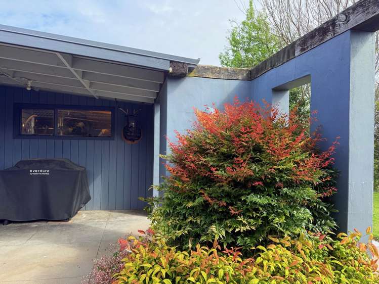 154 Ohinepanea Road Pukehina_26