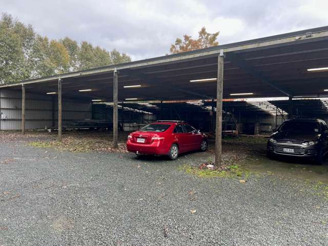 313 Postman Road Dairy Flat_3