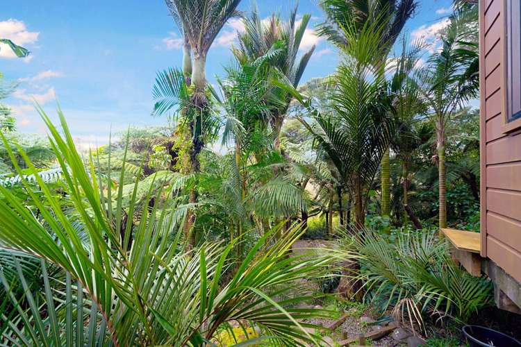 184 Huia Rd Titirangi_6