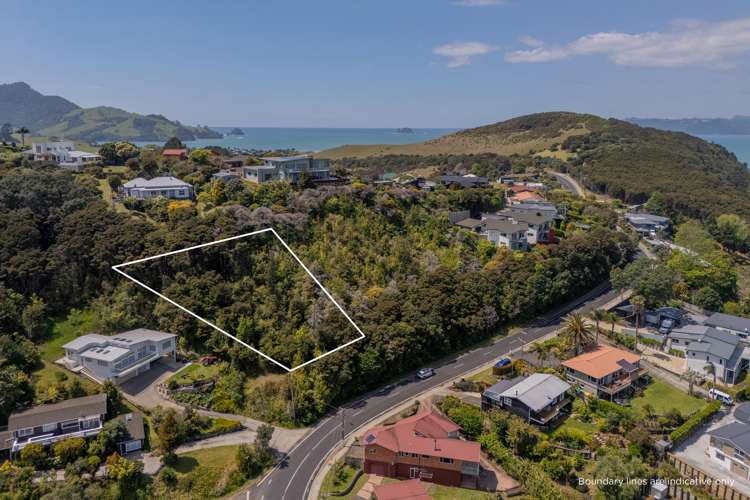 192 Buffalo Beach Road Whitianga_7