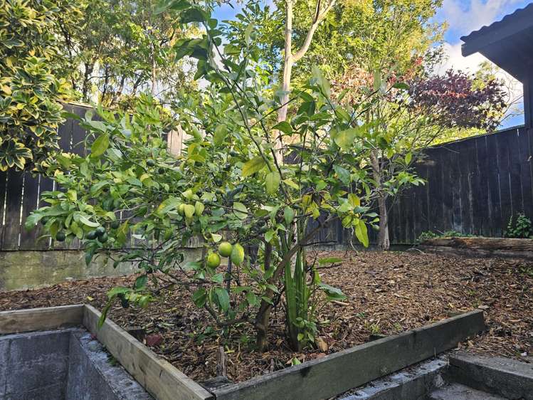 83 Kawiu Road Levin_15