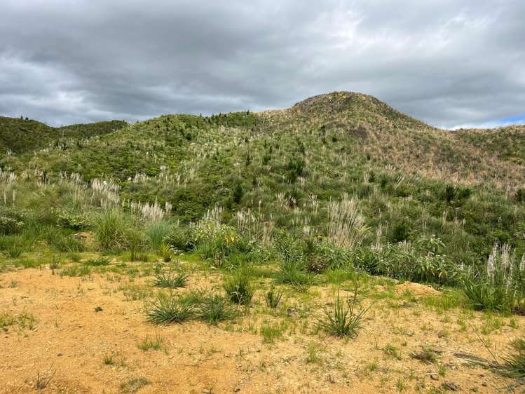 Lot 23 Waiotehue Road Herekino_14