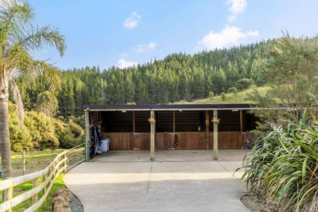 105 Zanders Road Helensville_2