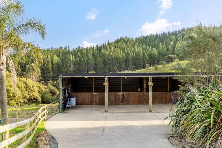 105 Zanders Road Helensville_2