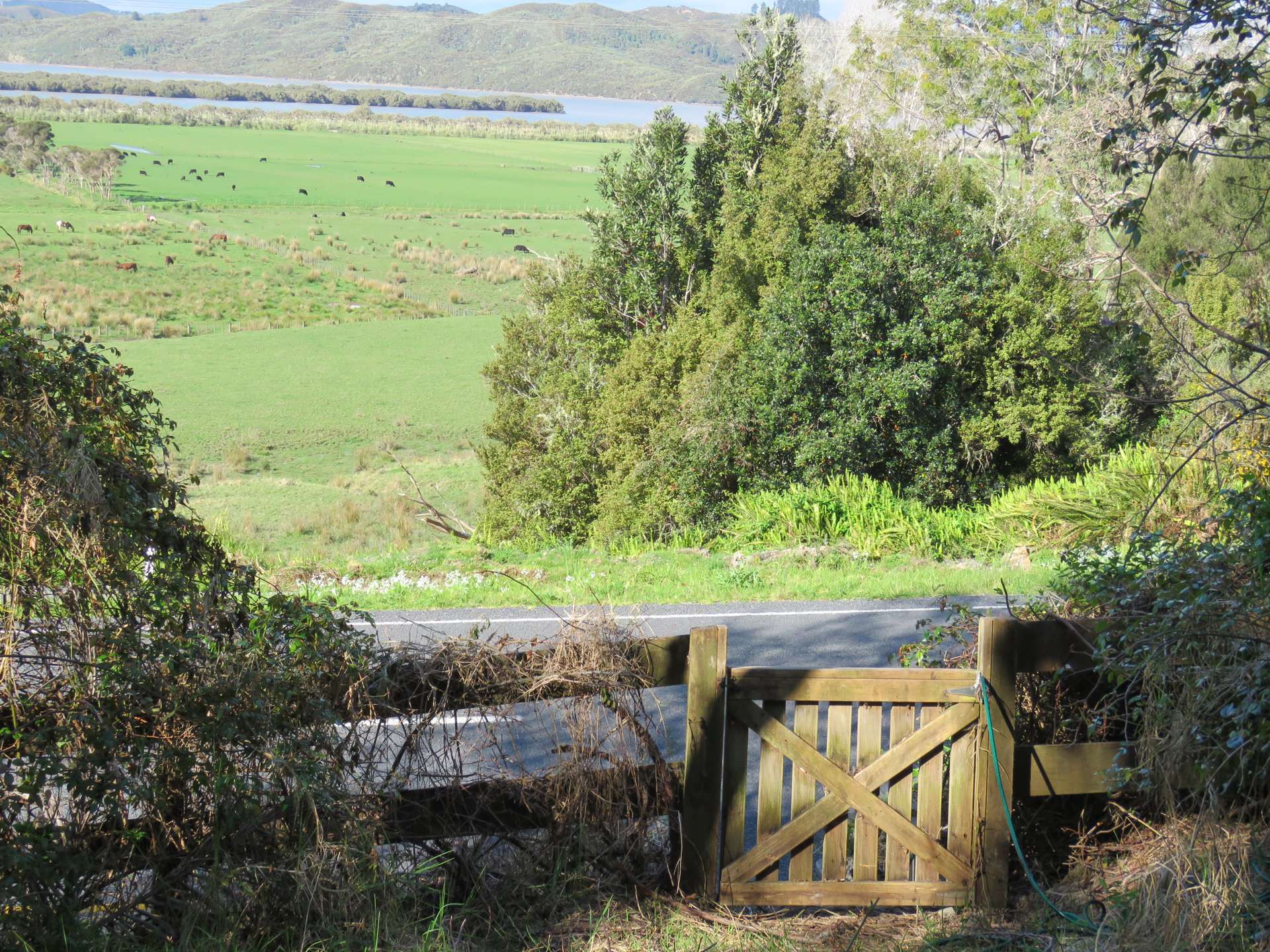 141 Parnell Street Rawene_0