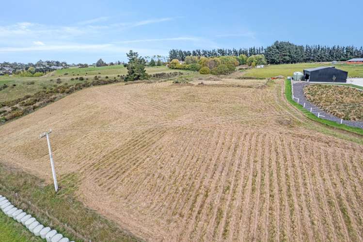 Pukeko Lane Weston_7