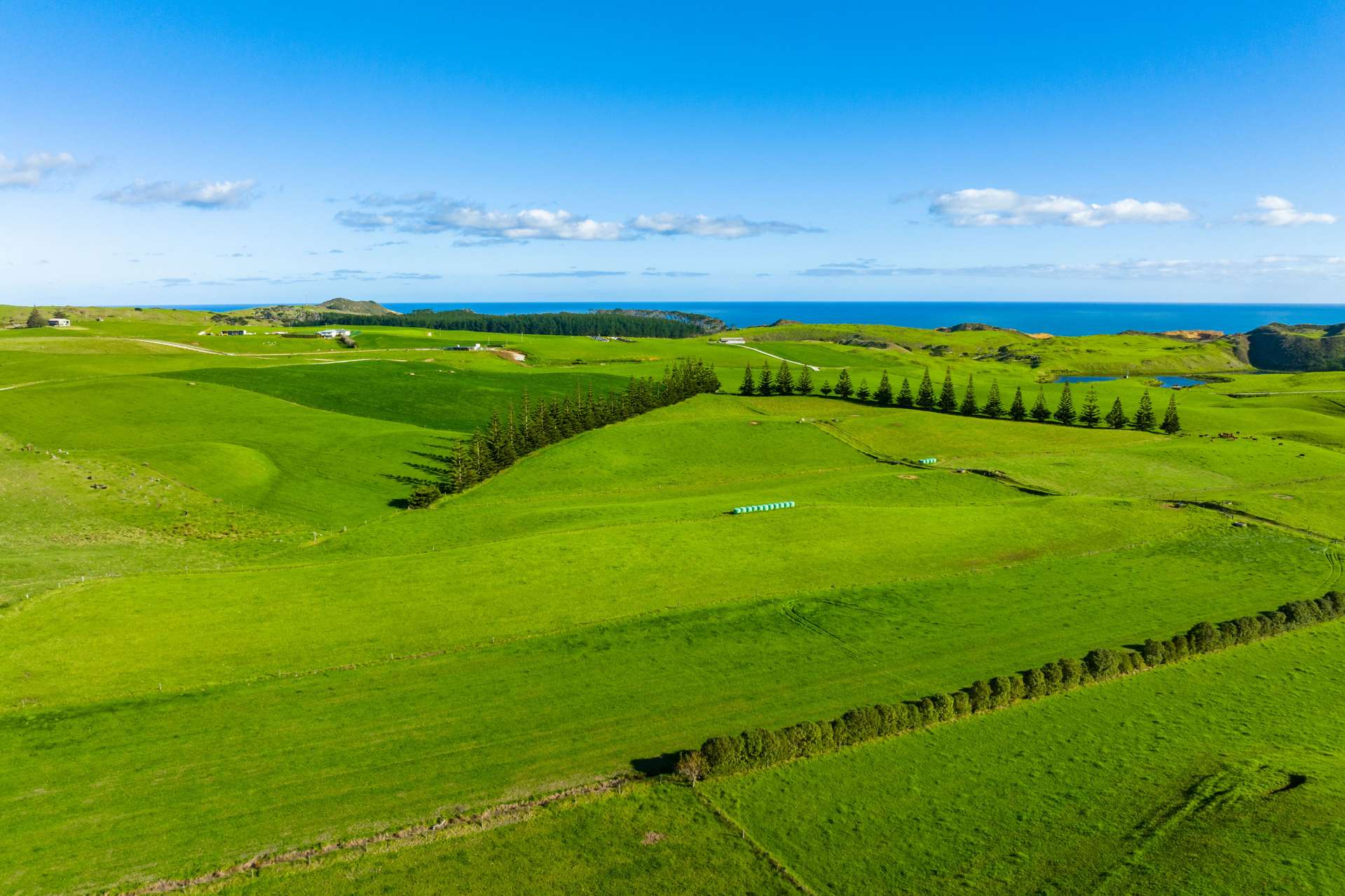 1000 Redhill Road Te Kopuru Kaipara Rural Property For Sale One