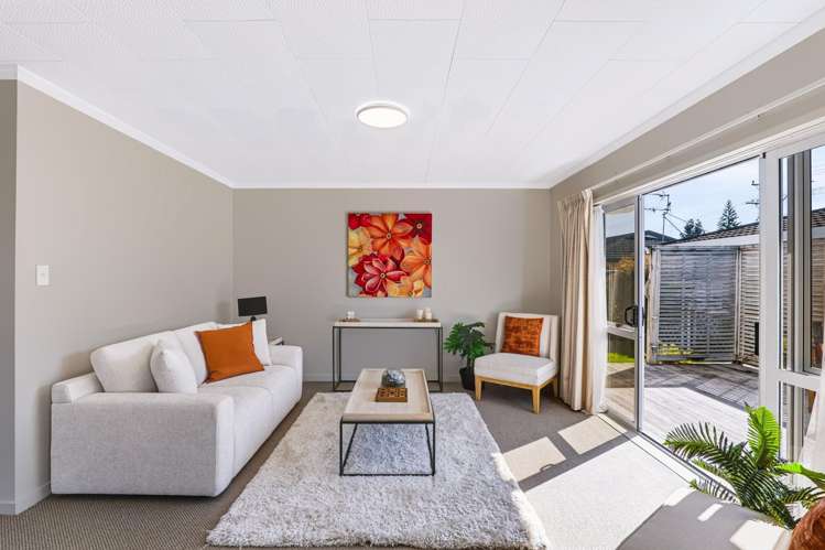 13B Huatoki Street Vogeltown_4