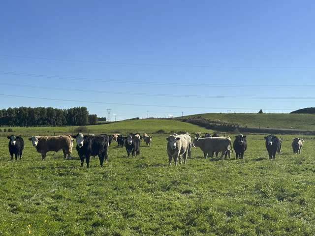 Well-located quality land in two titles