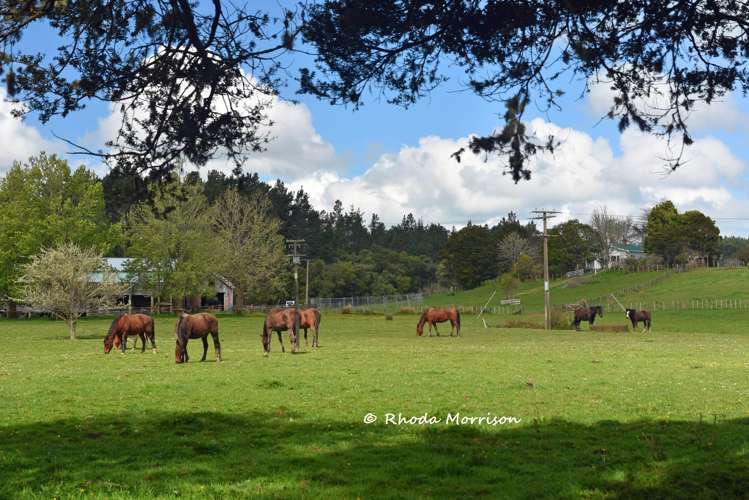 726 Paparoa Station Road Maungaturoto_18