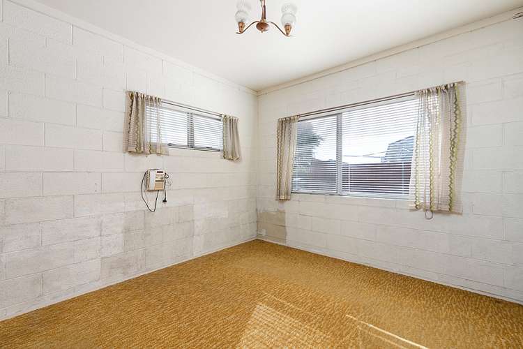 3c Dunlop Road Te Puke_8