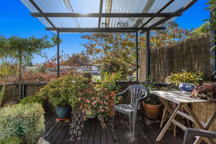 53a Kowhai Avenue Edgecumbe_20