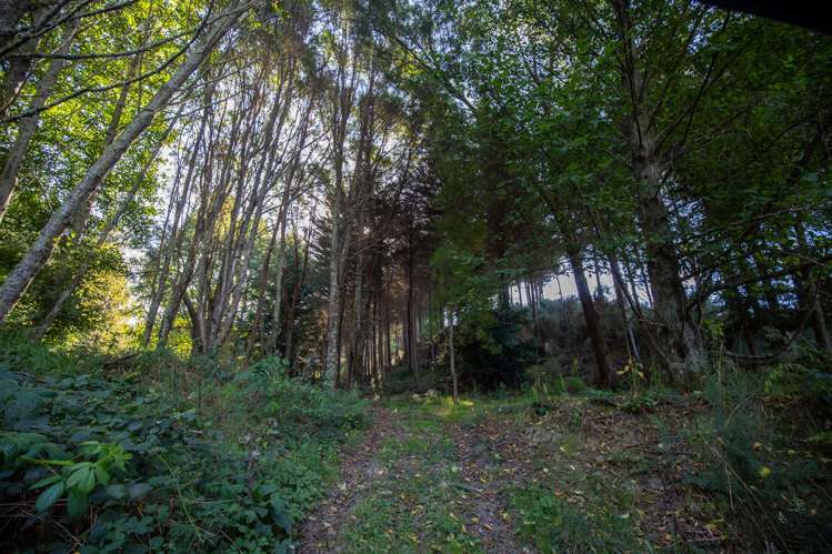 202 Rose Road Upper Moutere_22